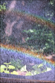 Regenbogen beim Gießen